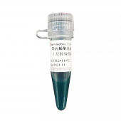 G2047-500UL 500ul Polyacrylamide Gel Page Top Gel Green Dye