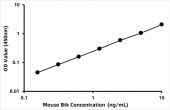 Mouse Tyrosine-protein kinase BTK (Btk) ELISA Kit (RK08914)