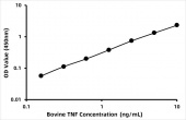 Bovine Tumor necrosis factor (TNF) ELISA Kit (RK06270)