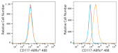 ABflo® 488 Rabbit anti-Human CD117/c-Kit mAb (A22586)