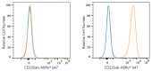 ABflo® 647 Rabbit anti-Mouse IgG2b mAb (A23221)