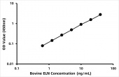 Bovine Elastin (ELN) ELISA Kit (RK08006)