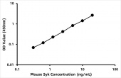 Mouse Tyrosine-protein kinase SYK (Syk) ELISA Kit (RK08278)