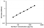 Rat Nuclear receptor corepressor 1 (Ncor1) ELISA Kit (RK06652)