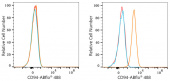 ABflo® 488 Rabbit anti-Human CD94 mAb (A23804)
