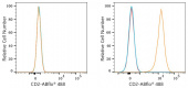 ABflo® 488 Rabbit anti-Mouse CD2 mAb (A23704)