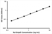 Rat Ectonucleoside triphosphate diphosphohydrolase 5 (Entpd5) ELISA Kit (RK09003)