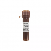 Mycoplasma Prevention Reagent 5ML 1000× For Cell Culture Mycoplasma Inhibitor
