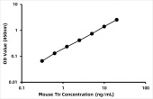 Mouse Ttr / TransthyretinELISA Kit (RK09087)