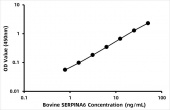 Bovine Corticosteroid-binding globulin (SERPINA6) ELISA Kit (RK06352)