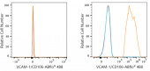 ABflo® 488 Rabbit anti-Human VCAM-1/CD106 mAb (A23397)