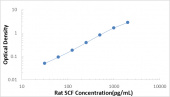 Rat SCF ELISA Kit (RK00210)