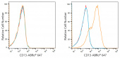 ABflo® 647 Rabbit anti-Human CD13/ANPEP mAb (A21945)