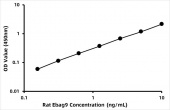 Rat Receptor-binding cancer antigen expressed on SiSo cells (Ebag9) ELISA Kit (RK06836)