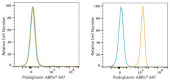 ABflo® 647 Rabbit anti-Human Podoplanin mAb (A24409)