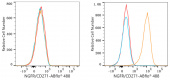 ABflo® 488 Rabbit anti-Human NGFR/CD271 mAb (A23118)