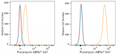ABflo® 647 Rabbit anti-Puromycin mAb (A23131)
