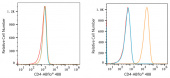 ABflo® 488 Rabbit anti-Human/Monkey CD4 mAb (A22773)