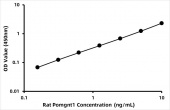 Rat Protein O-linked-mannose beta-1, 2-N-acetylglucosaminyltransferase 1 (Pomgnt1) ELISA Kit (RK08618)
