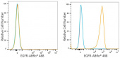 ABflo® 488 Rabbit anti-Human EGFR mAb (A24265)