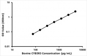 Bovine NADH-cytochrome b5 reductase 3 (CYB5R3) ELISA Kit (RK06536)