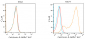ABflo® 647-conjugated Goat Anti-Mouse IgG (H+L) (AS078)