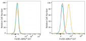 ABflo® 647 Rabbit anti-Mouse F4/80/ADGRE1 mAb (A24413)
