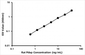 Rat Pyridoxal phosphate phosphatase (Pdxp) ELISA Kit (RK08594)