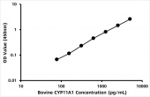 Bovine Cholesterol side-chain cleavage enzyme,  mitochondrial (CYP11A1) ELISA Kit (RK07482)