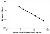 Bovine Peroxisome proliferator-activated receptor gamma (PPARγ/PPARG)  ELISA Kit (RK07400)