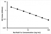 Rat Ras-related protein Rab-11A (Rab11a) ELISA Kit (RK08603)