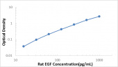 Rat EGF ELISA Kit (RK00197)