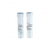 G2007-1ML 2*1ml Phosphatase Inhibitor for Phosphorylated Protein