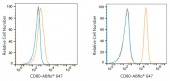 ABflo® 647 Rabbit anti-Human CD80/B7-1 mAb (A23730)