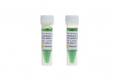 HotStart Taq 2X PCR Master Mix with Dye (RK20605)