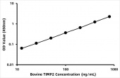 Bovine Metalloproteinase inhibitor 2 (TIMP2) ELISA Kit (RK06263)