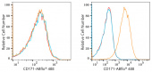 ABflo® 647 Rabbit anti-Human CD171/L1CAM mAb (A22591)