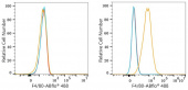 ABflo® 488 Rabbit anti-Mouse F4/80/ADGRE1 mAb (A24412)