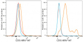 ABflo® 647 Rabbit anti-Pig CD3G mAb (A23819)