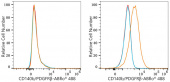 ABflo® 488 Rabbit anti-Human CD140b/PDGFRβ mAb (A24222)