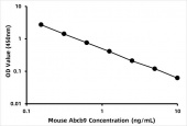 Mouse ATP-binding cassette sub-family B member 9 (Abcb9) ELISA Kit (RK07803)