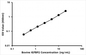 Bovine IGF-binding protein 2 (IGFBP2) ELISA Kit (RK06123)