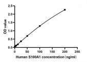 Rabbit anti-Human S100 Calcium Binding Protein mAb (CAP) (RM17906)