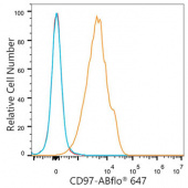 ABflo® 647 Rabbit anti-Mouse CD97 mAb (A23822)