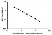 Bovine Protein disulfide-isomerase A3 (PDIA3) ELISA Kit (RK08237)