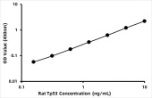 Rat Tumor Protein p53 ELISA Kit (TP53) (RK03997)