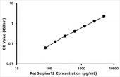 Rat Serpin A12 (Serpina12) ELISA Kit (RK07193)