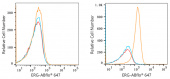 ABflo® 647 Rabbit anti-Human ERG mAb (A22497)