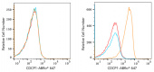 ABflo® 647 Rabbit anti-Human CDCP1 mAb (A22499)