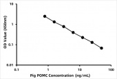 Pig Pro-opiomelanocortin (POMC) ELISA Kit (RK07980)